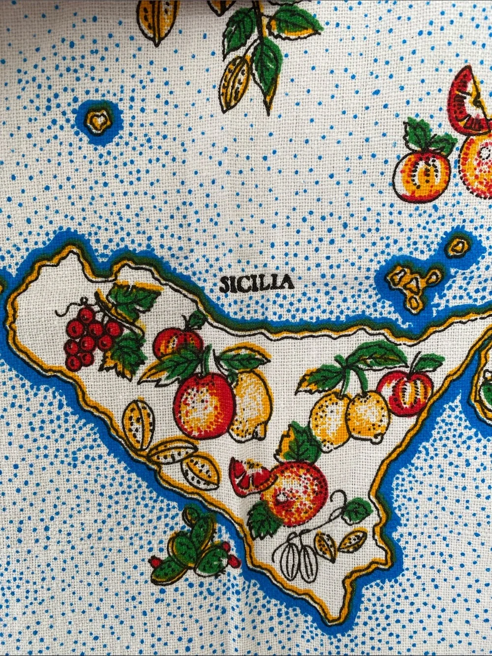 Italian Map Illustration Kitchen Towel / Tapestries 22 x 33 inches NWOT
